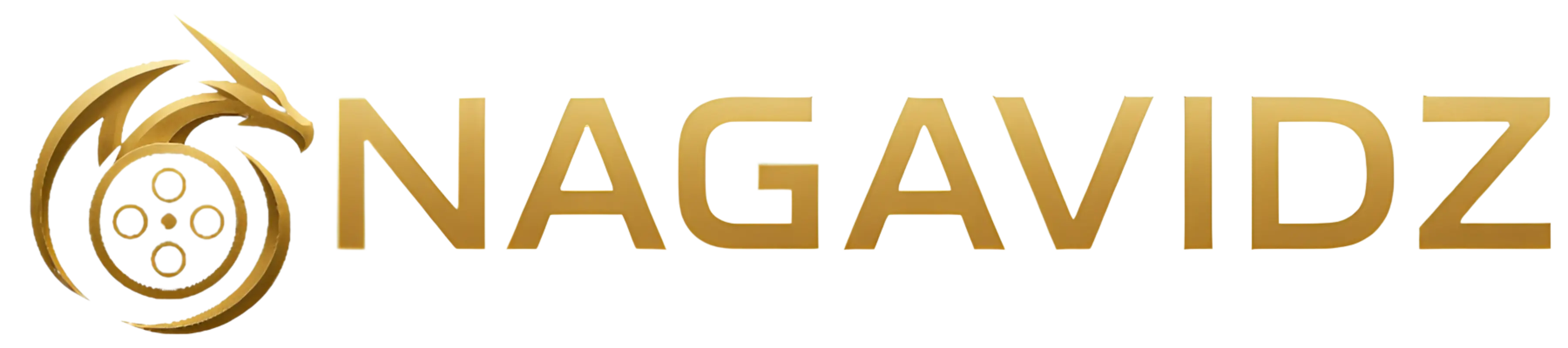 NAGAVIDZ Logo
